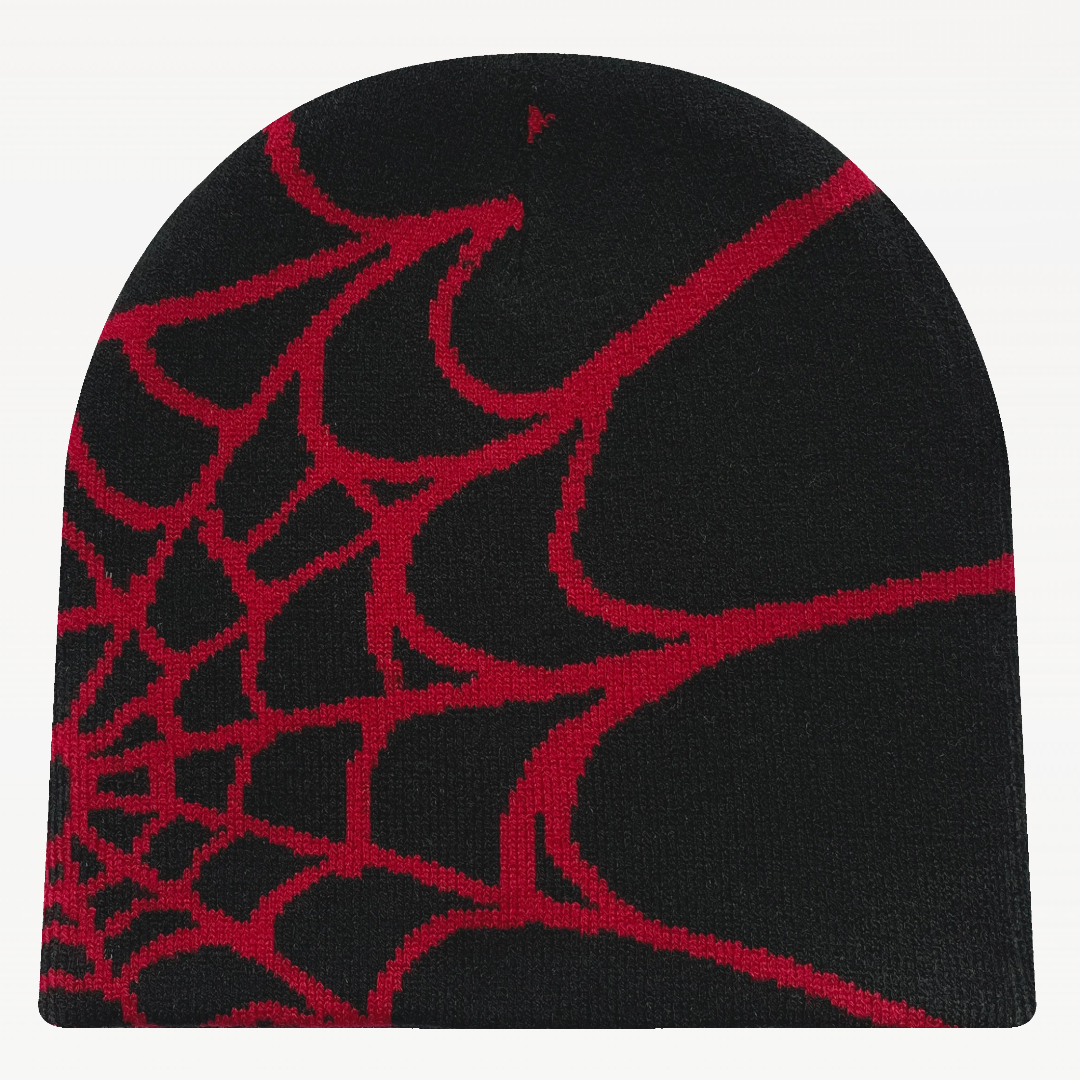Spider Net Beanie