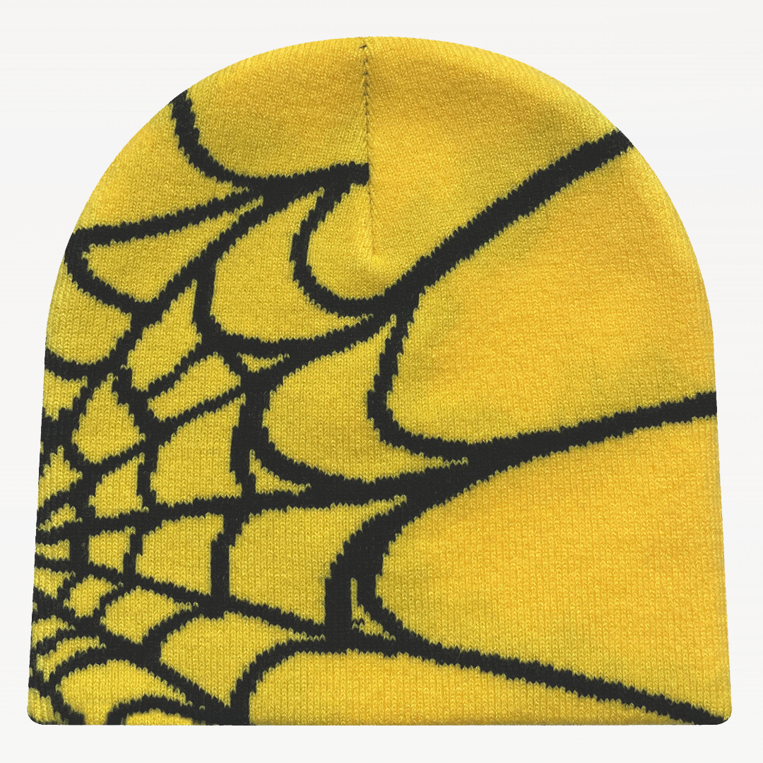 Spider Net Beanie