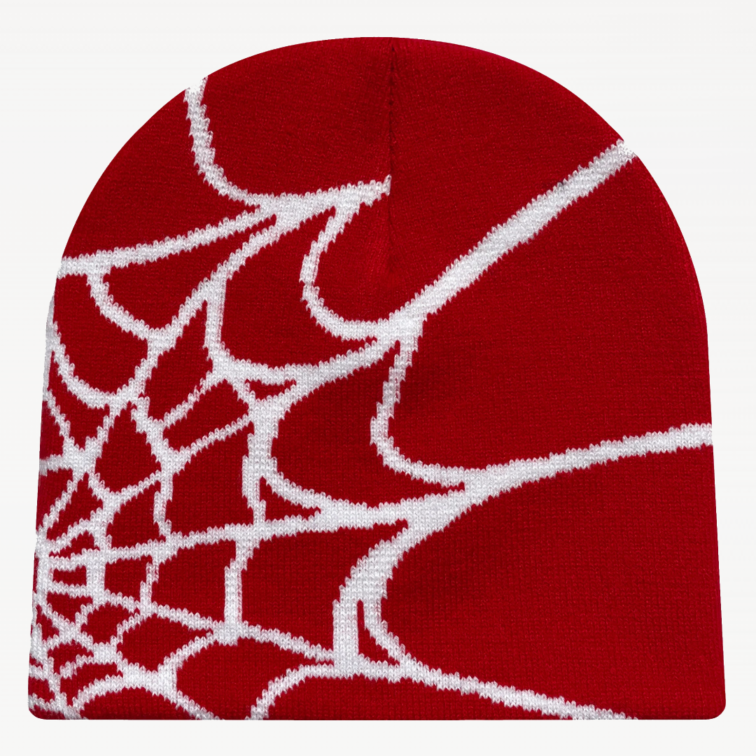 Spider Net Beanie