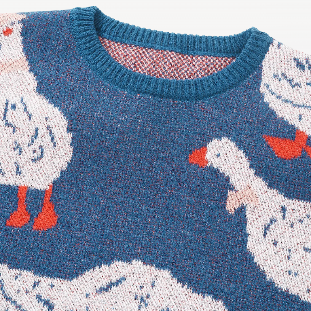 Ducks Sweater